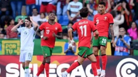 伊布膝伤恐无缘本届欧洲杯