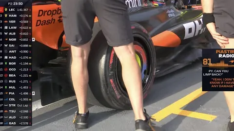 年金球奖竞争者排名更新，拉菲尼亚领跑榜单。