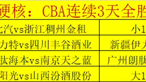 印尼足协迎来中超名宿小克鲁伊夫担任顾问